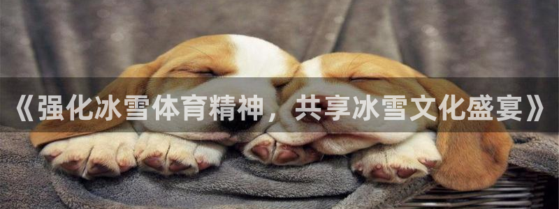 杏悦招商
