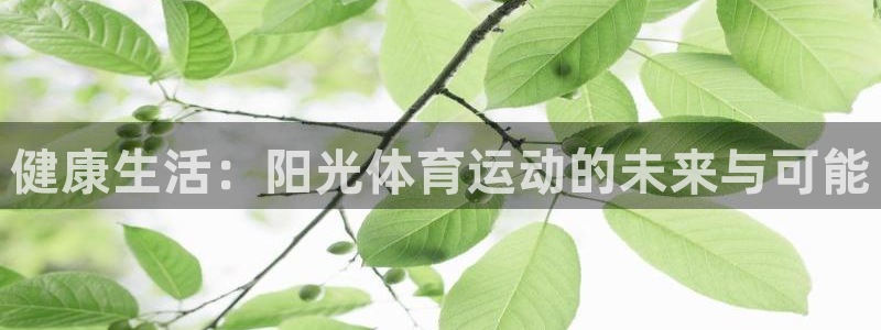 杏悦体育4