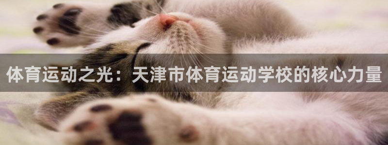 杏悦代理