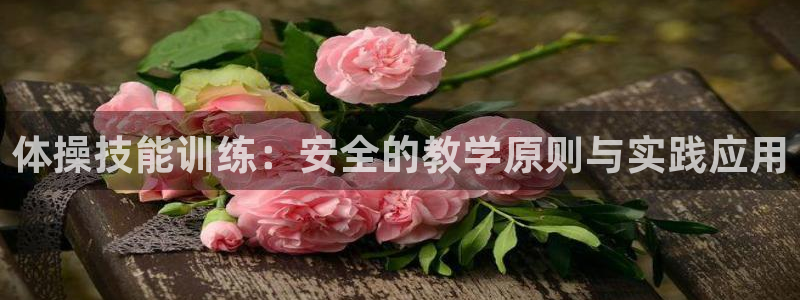 杏悦代理注册官网入口