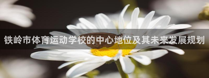佛山市南海杏悦机电仪器有限公司