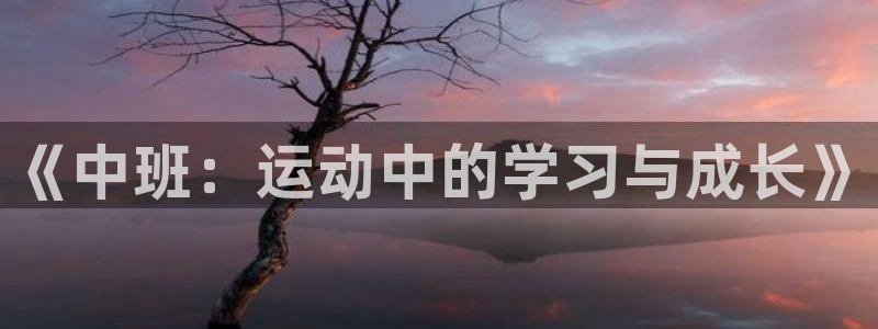 杏悦体育代理