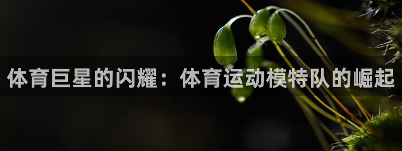 杏悦股份