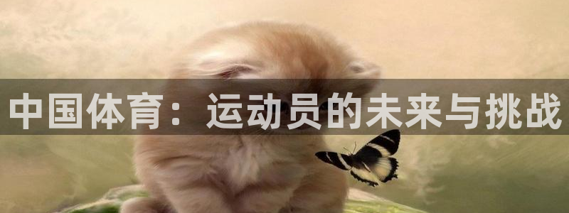 杏悦体育f开号