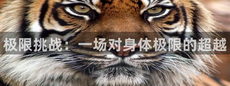 杏悦体育用品