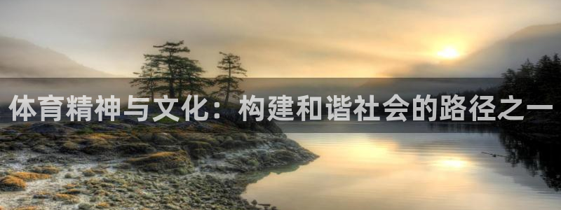 杏悦体育官网入口登录