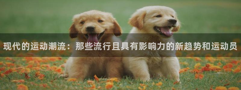 杏悦体育凯捷登陆