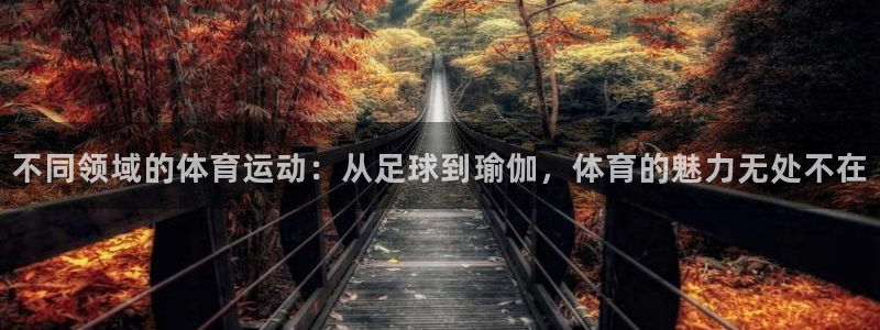 杏悦体育注册代理