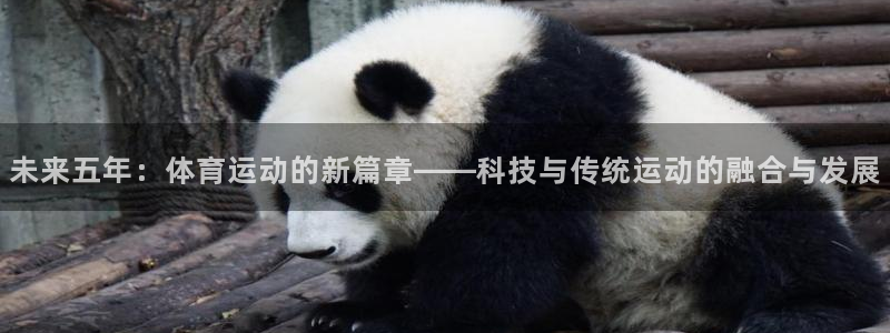 杏悦下载
