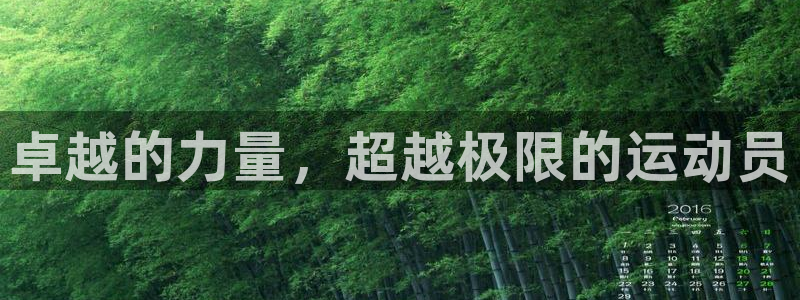 杏悦体育代理申请流程