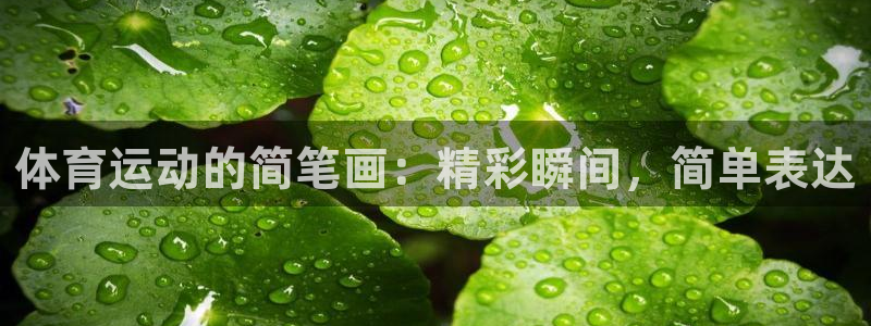 杏悦2代理注册