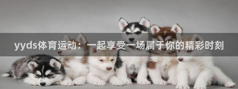 杏悦注册