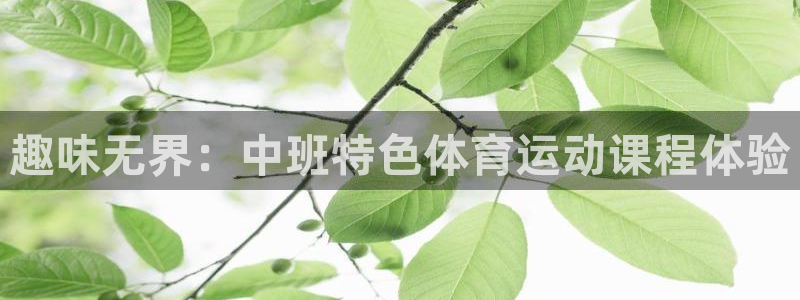 杏悦平台注册