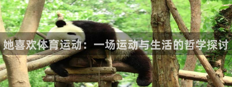 杏悦是什么平台