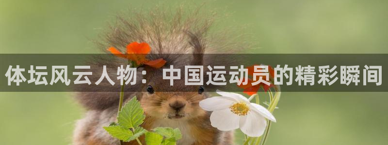 杏悦f凯捷注册